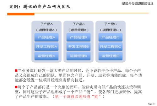 杨少杰 新商业时代的最佳组织结构